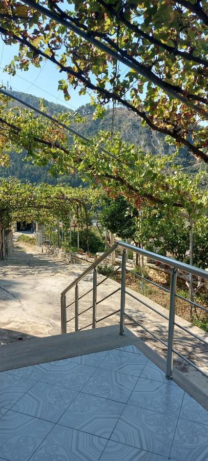 Green Forest بيرات المظهر الخارجي الصورة