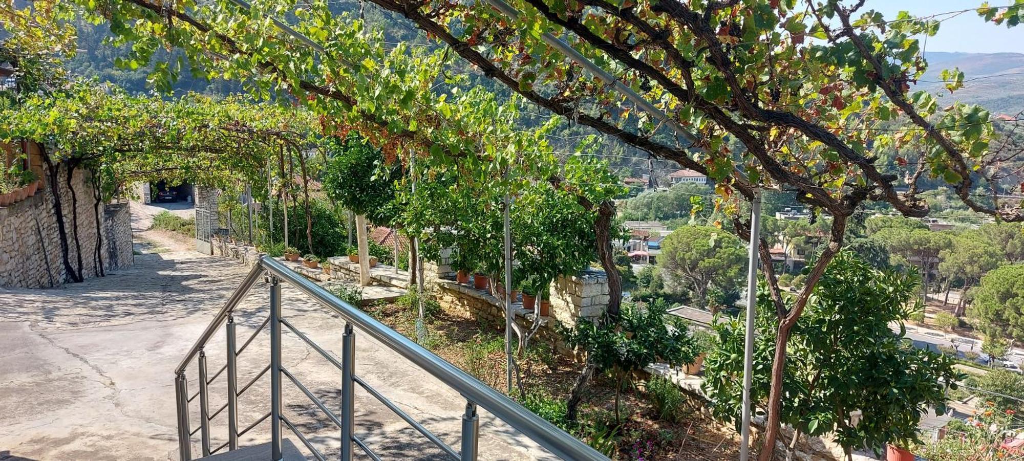 Green Forest بيرات المظهر الخارجي الصورة